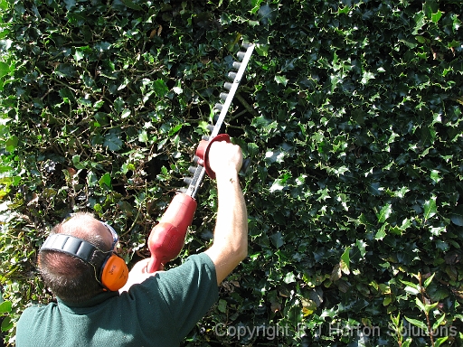 Hidcote Hedging